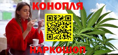 сатива Можга