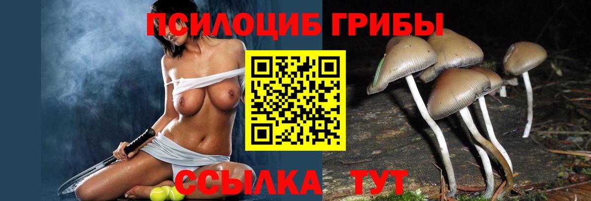 Псилоцибиновые грибы Psilocybine cubensis  Вход с VPN  Элиста  Псилоцибиновые грибы мицелий 